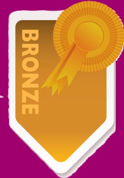 Bronze Plan Image